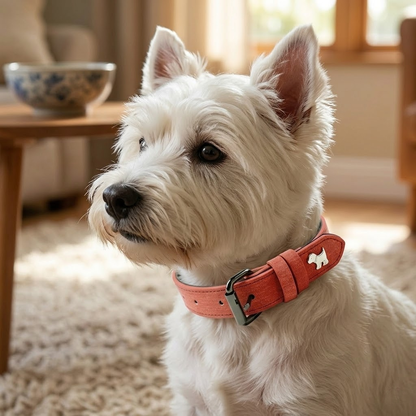 Soft Microfiber Leather Dog Collar   Size